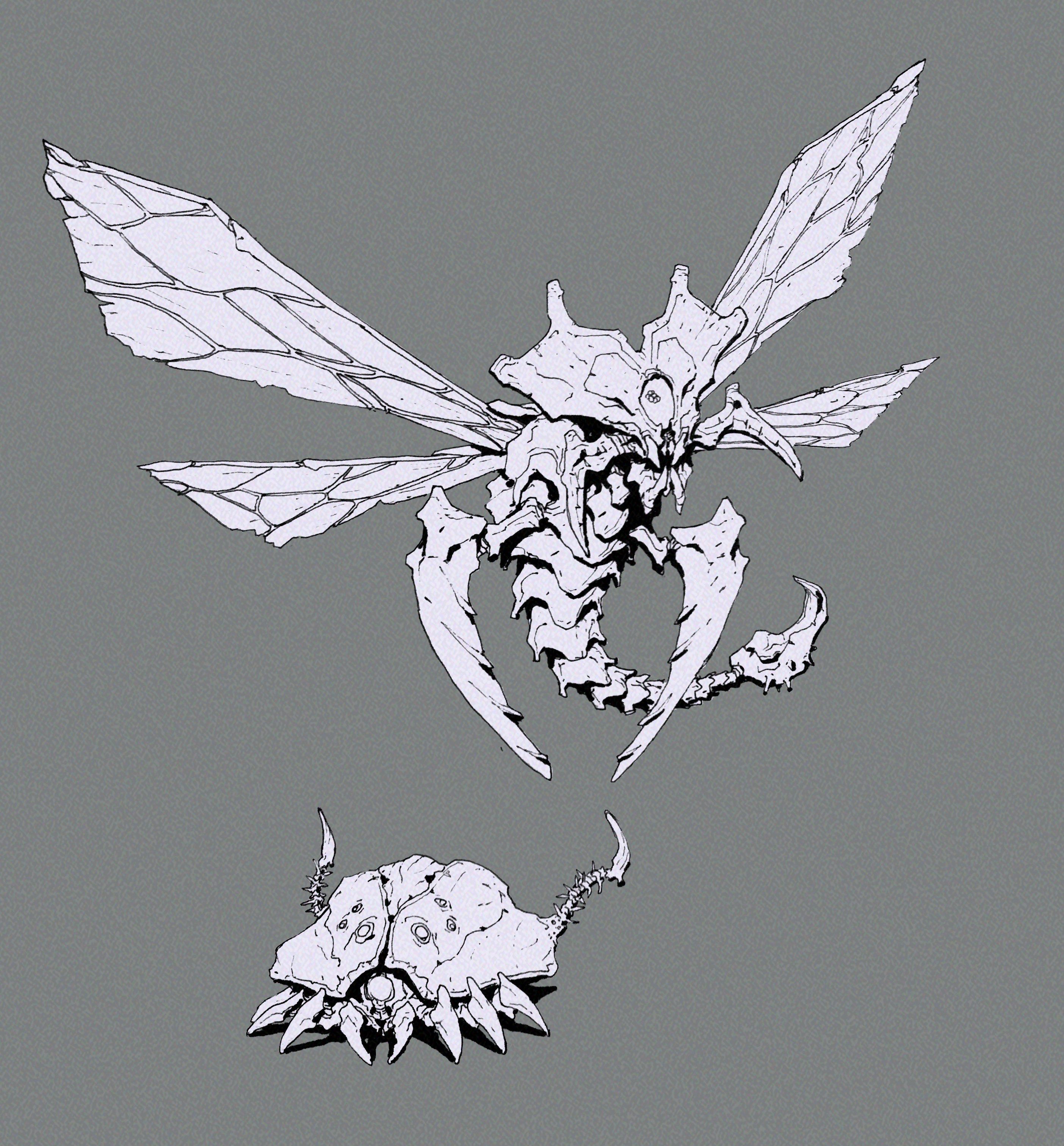Wasp and Looker