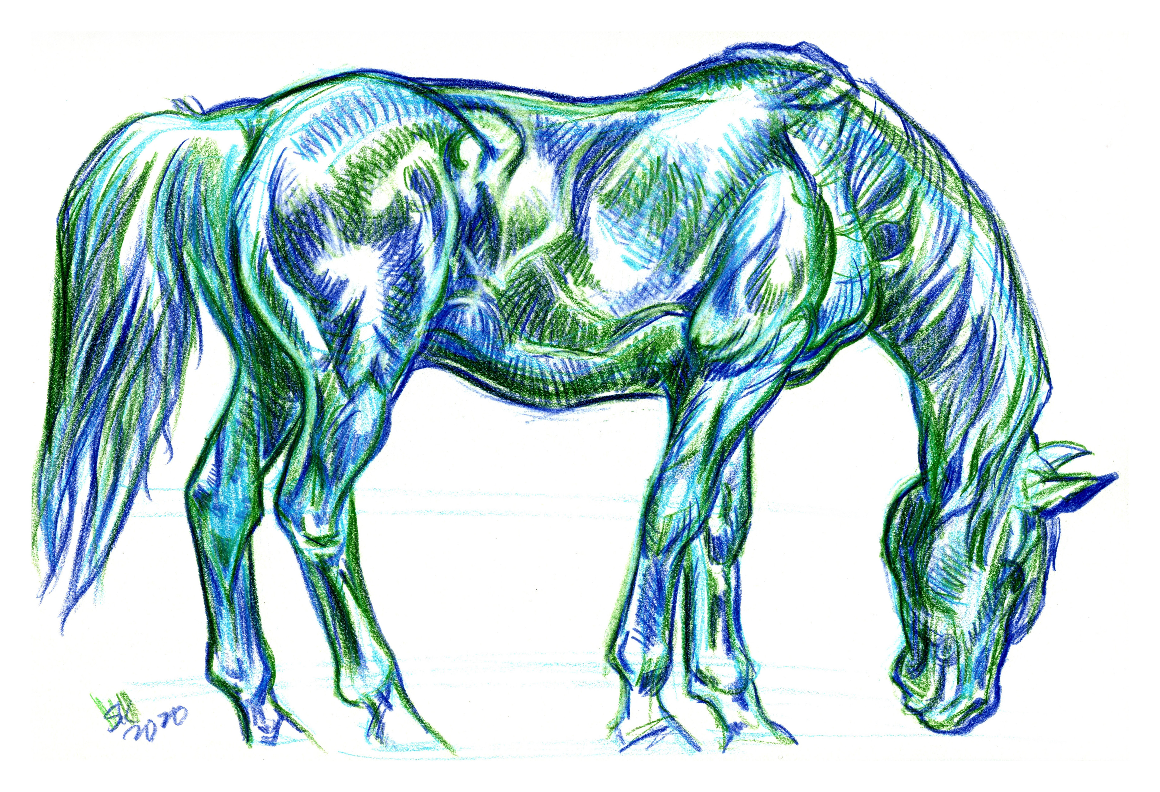 Eric Carl has a blue horse and so do I!