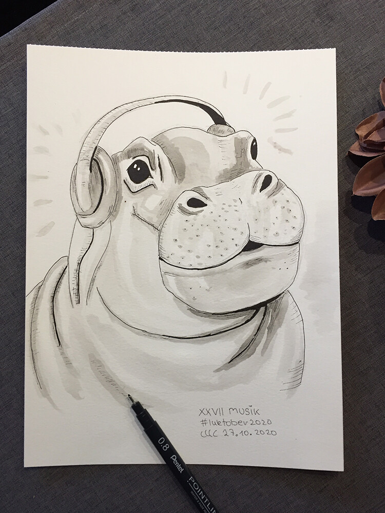 27. MUSIK