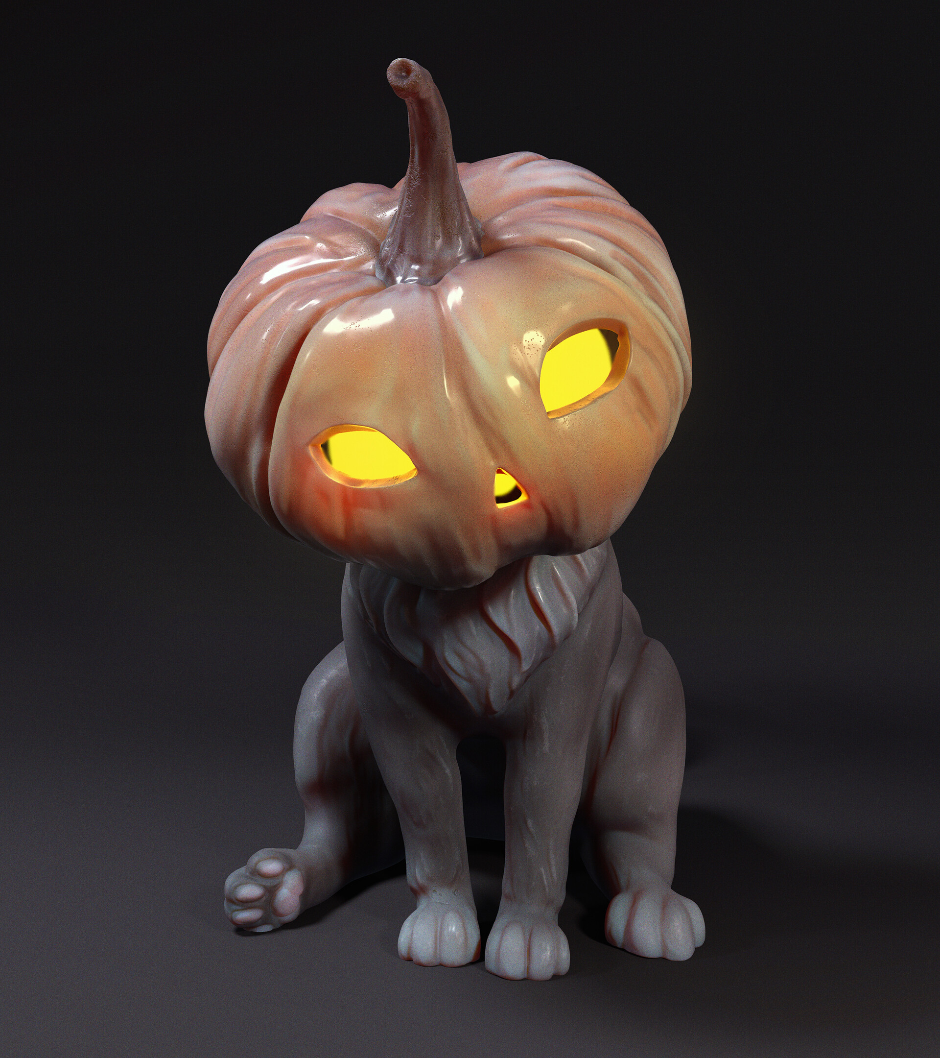 kitten pumpkin