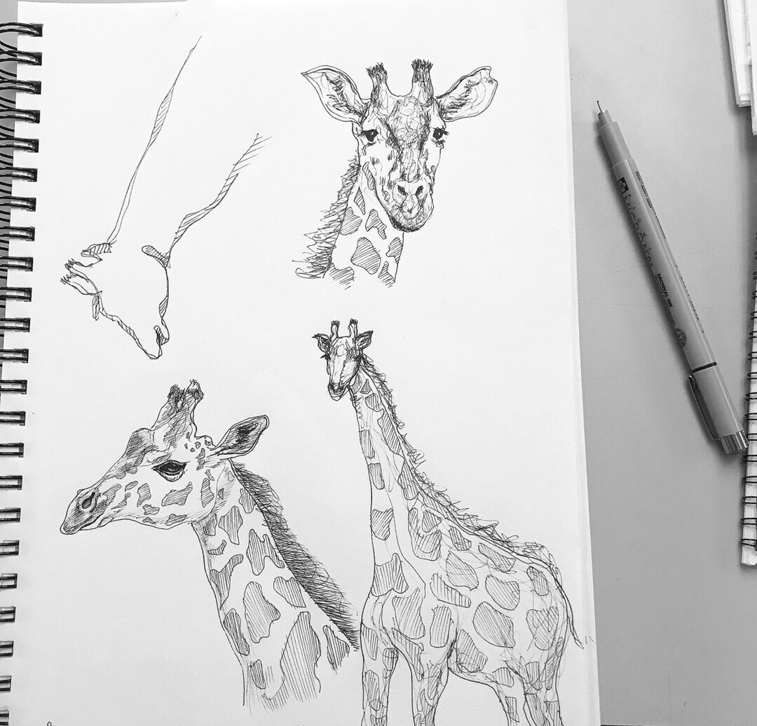 ArtStation - Pen sketch - Giraffe