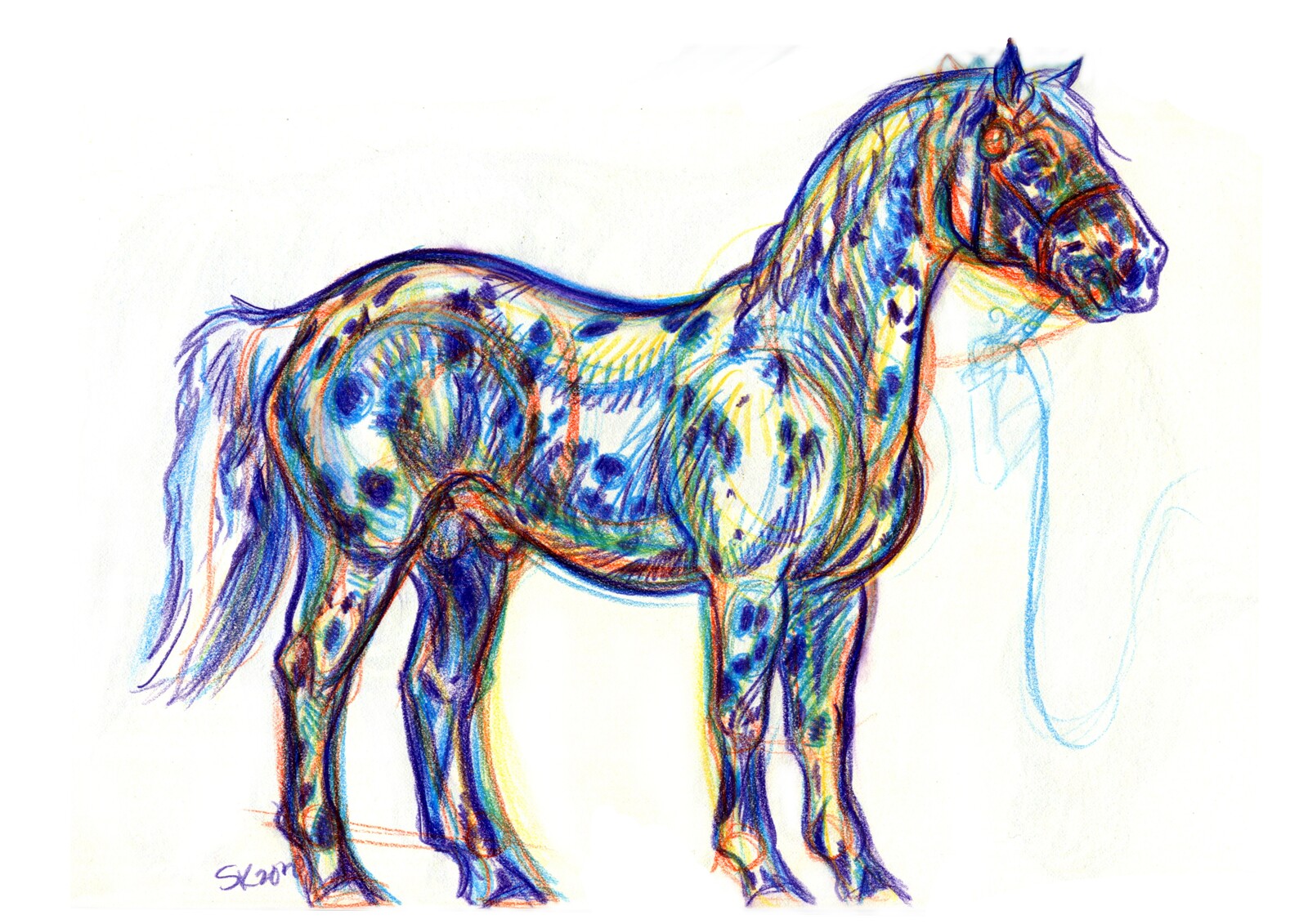Horse sketch: Spots