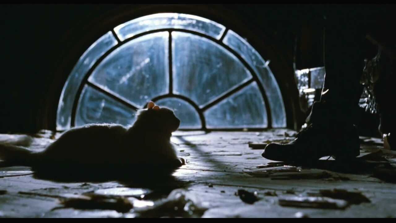 Movie Reference