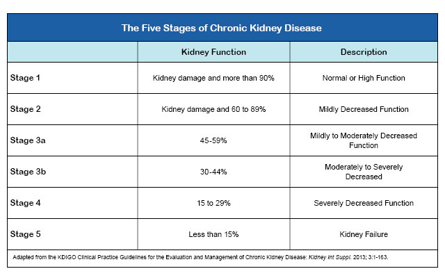 Artstation The Chronic Kidney Disease Solution Book Assessment Crown Plaza