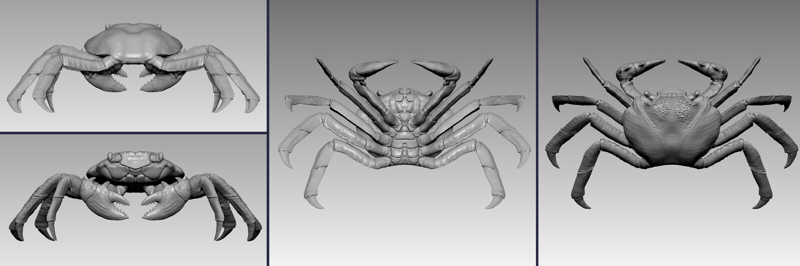 Modeling in ZBrush
