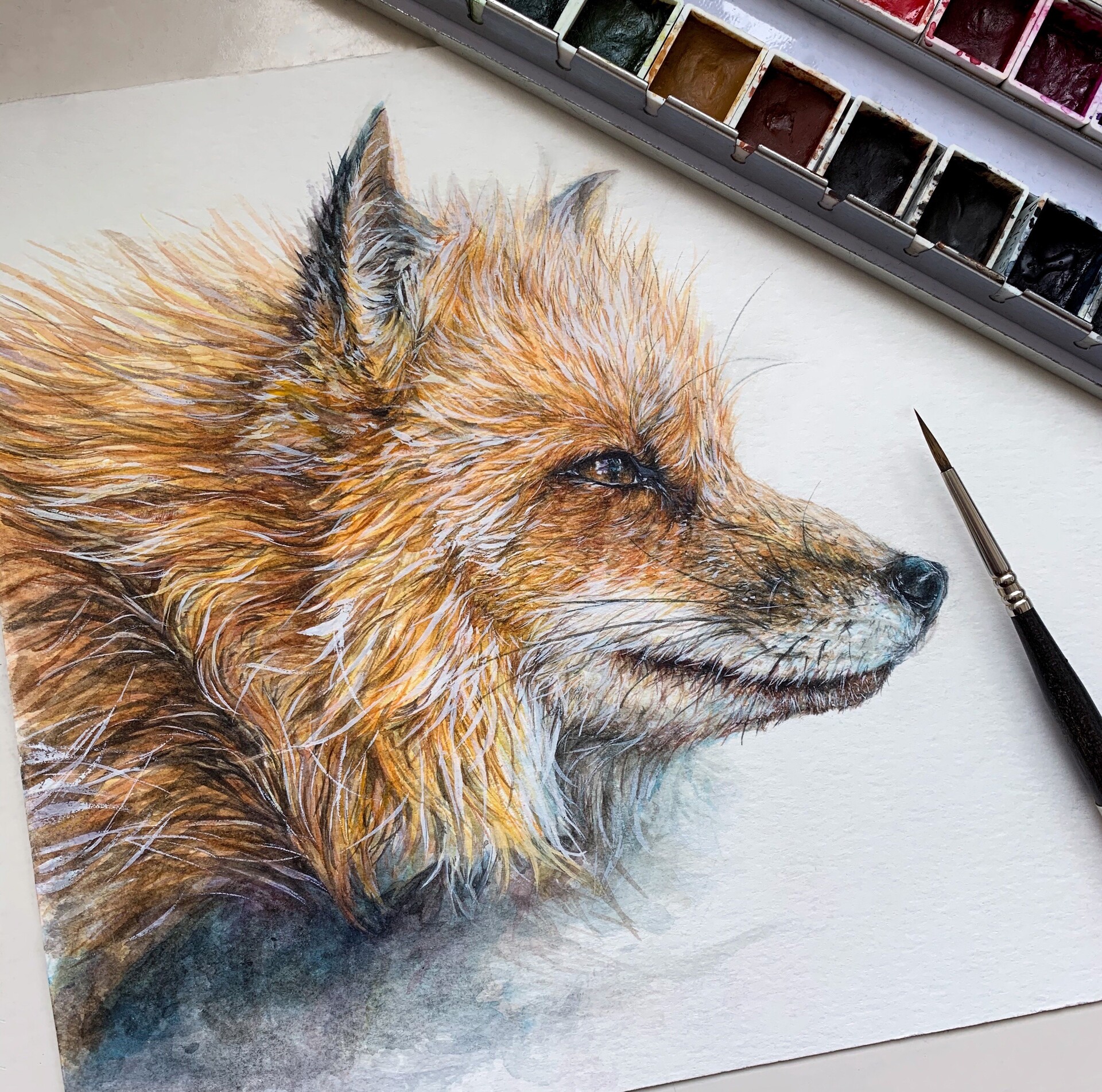 SUI GOUACHE Paint Review and Test Painting of a Fox 🦊! 