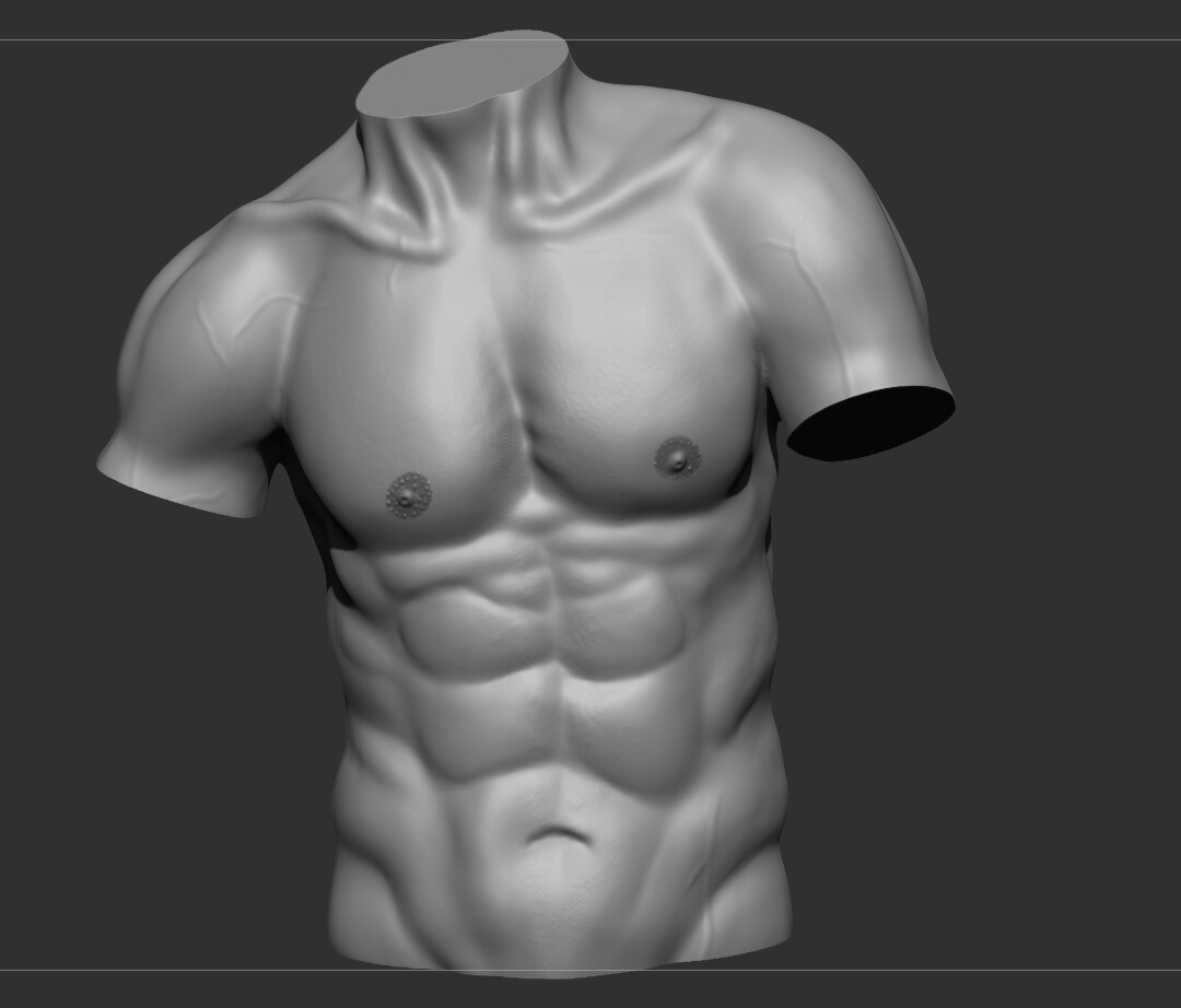 ArtStation - Anatomy study Male torso