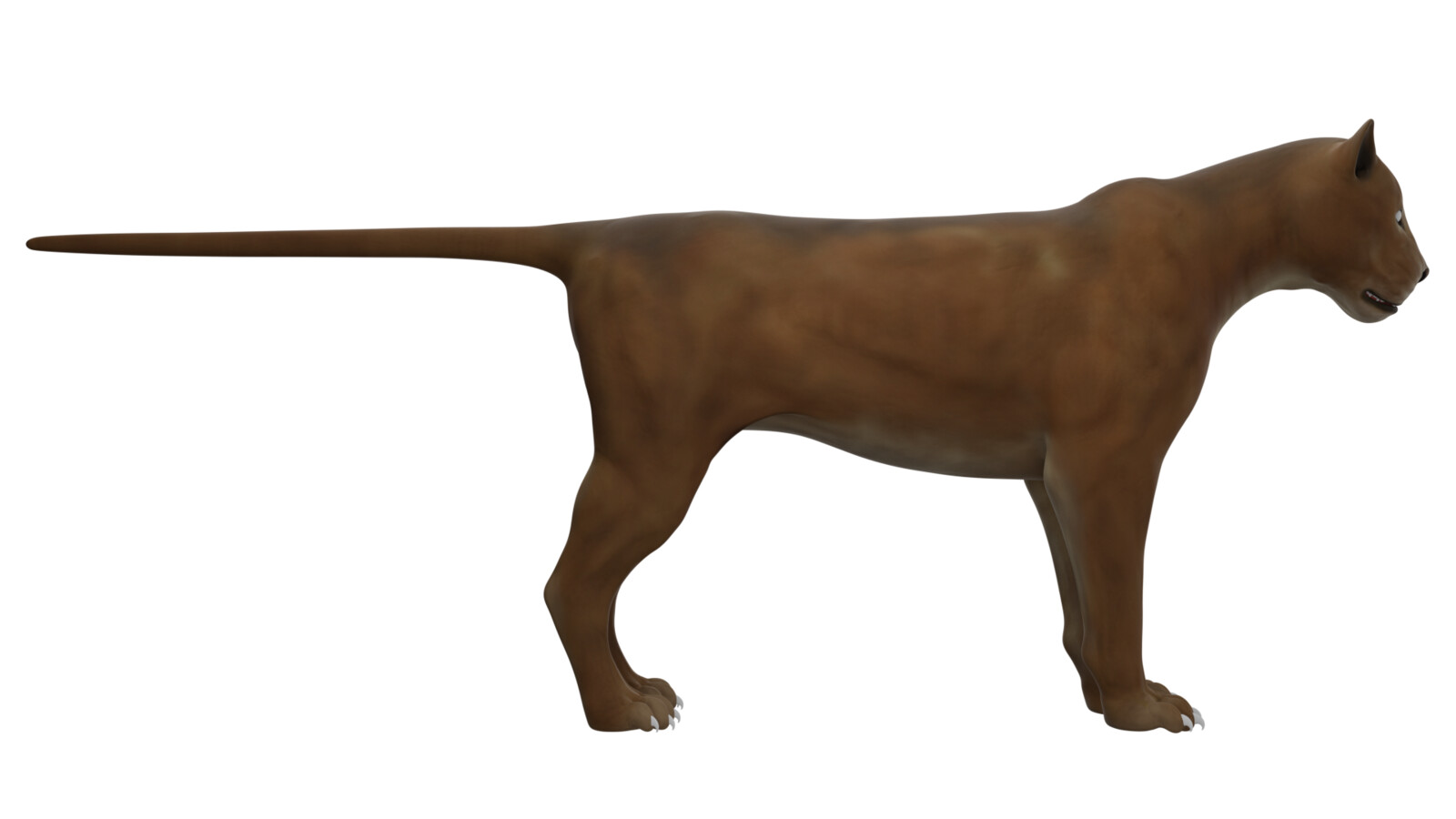 Coloured side view.