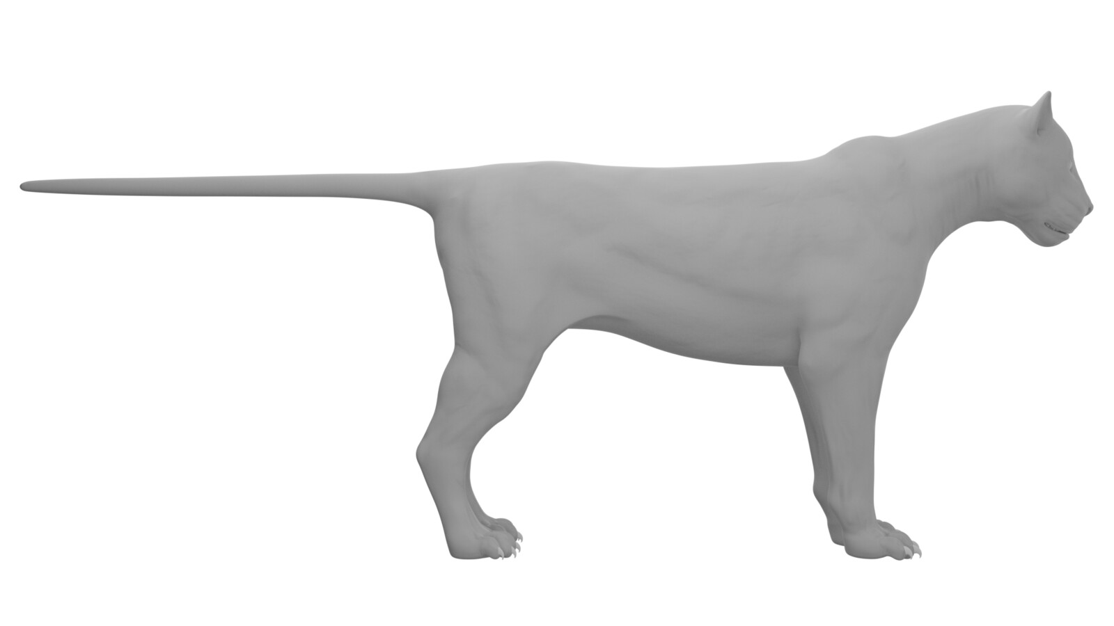 Grey side view.