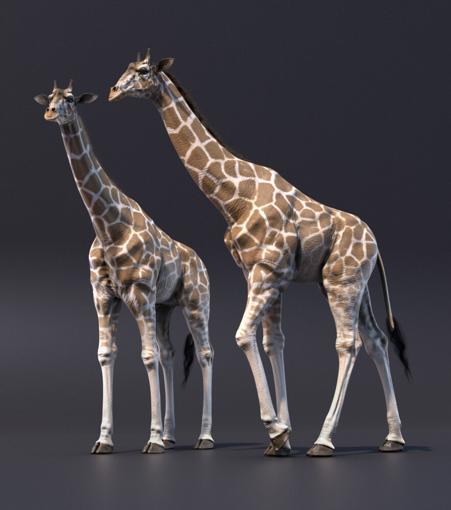 ArtStation - Giraffe 3D Model