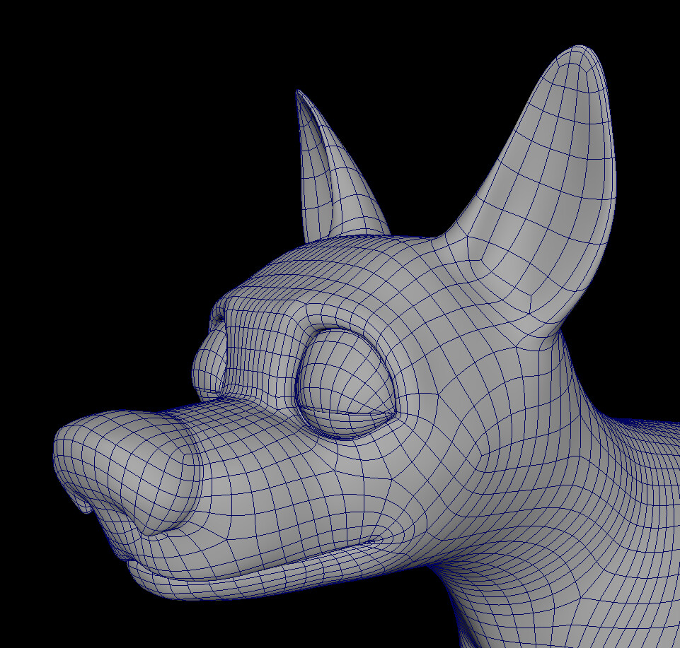 Wireframe view of the canine model.