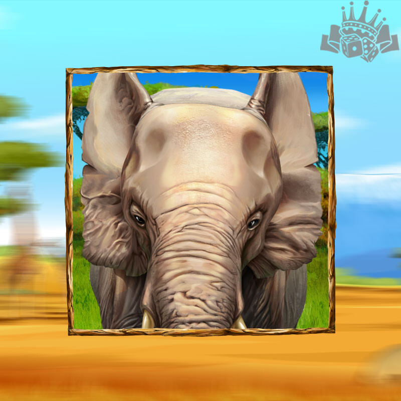 Elephant Elephant