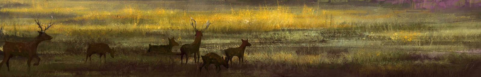 grasslands and deer closeup
