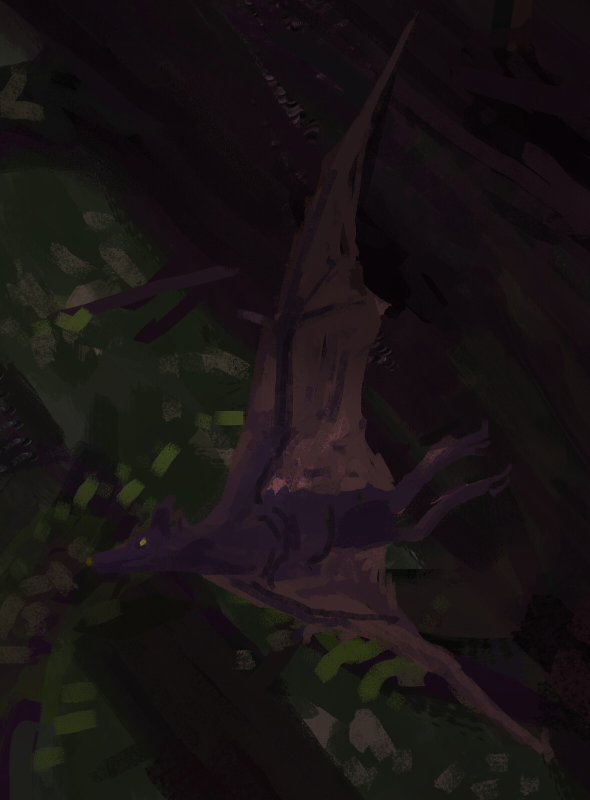 closeups of batsies