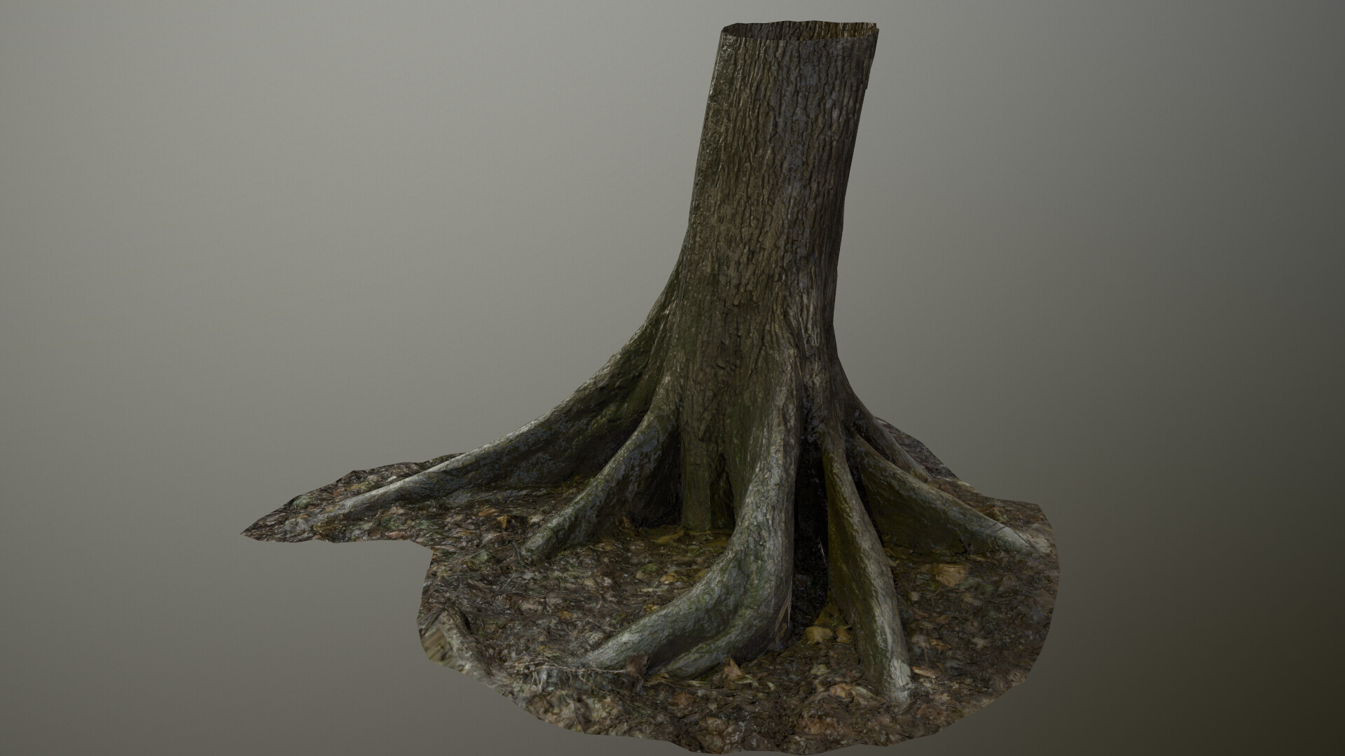 ArtStation - Photoscanned tree roots