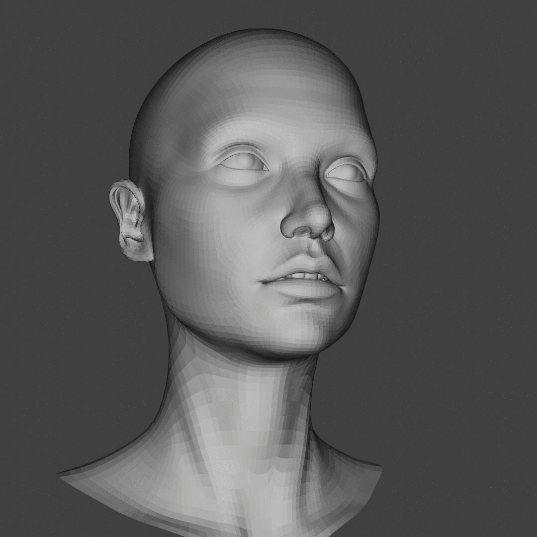 Sculpt progress