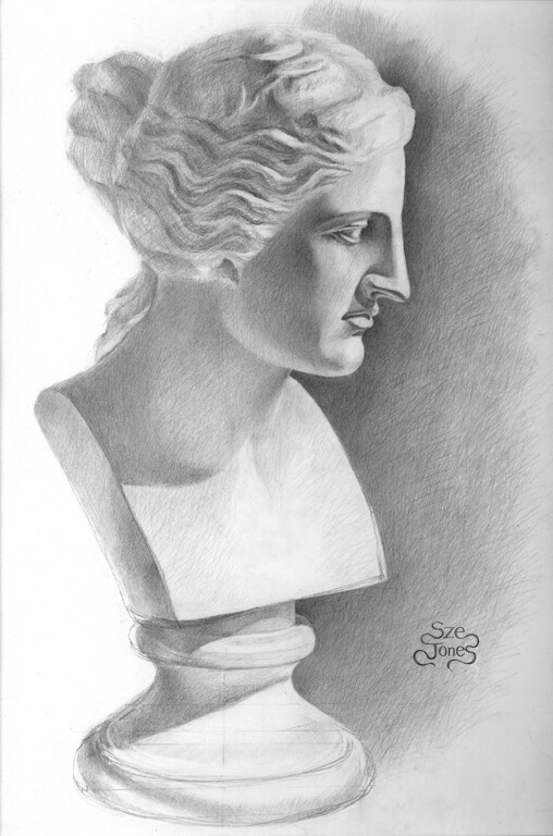 Venus Bust - Cast Drawing