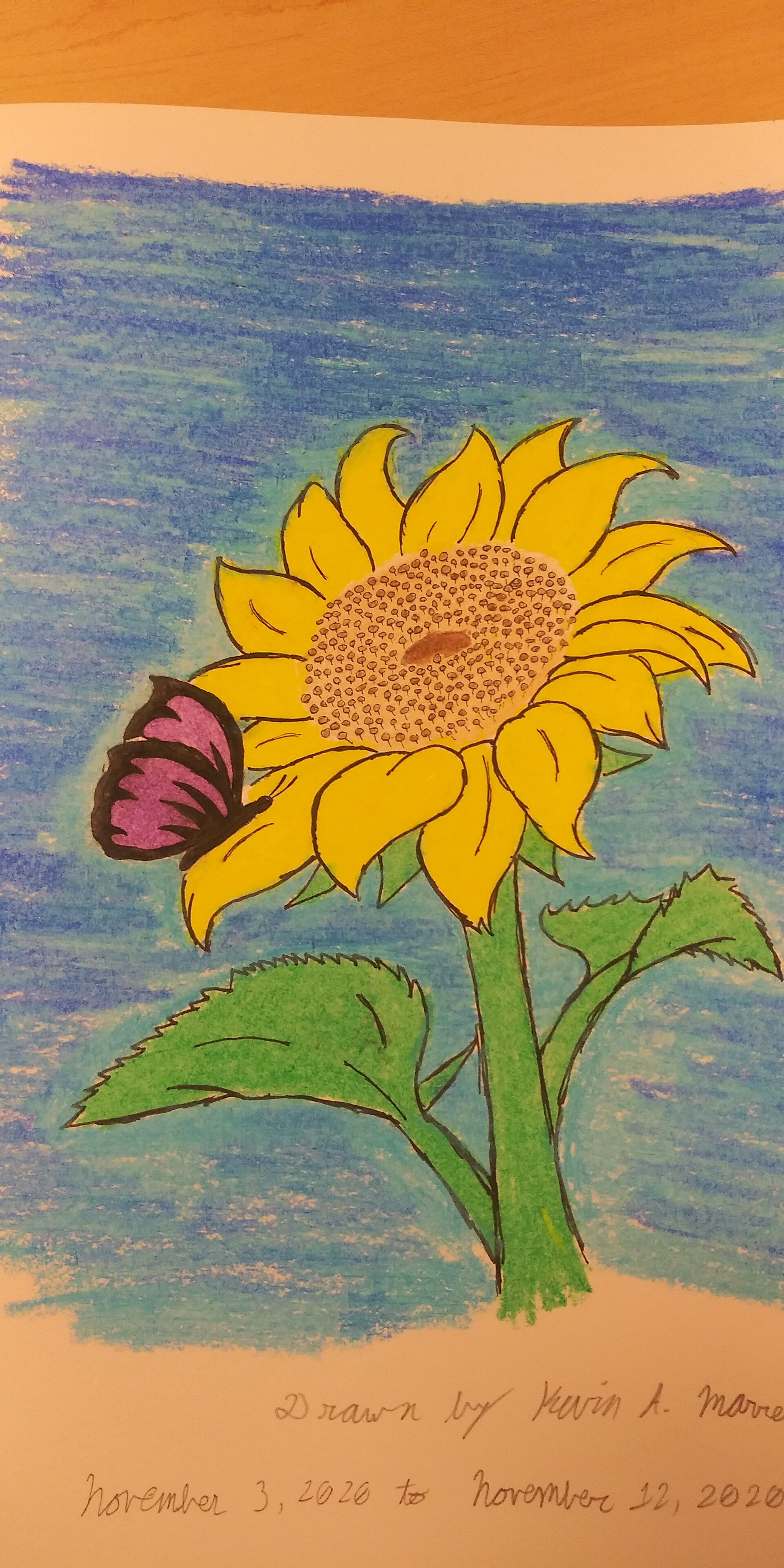 Simple Sunflower Drawing: Easy Step-by-Step Instructions - Freebie Finding  Mom