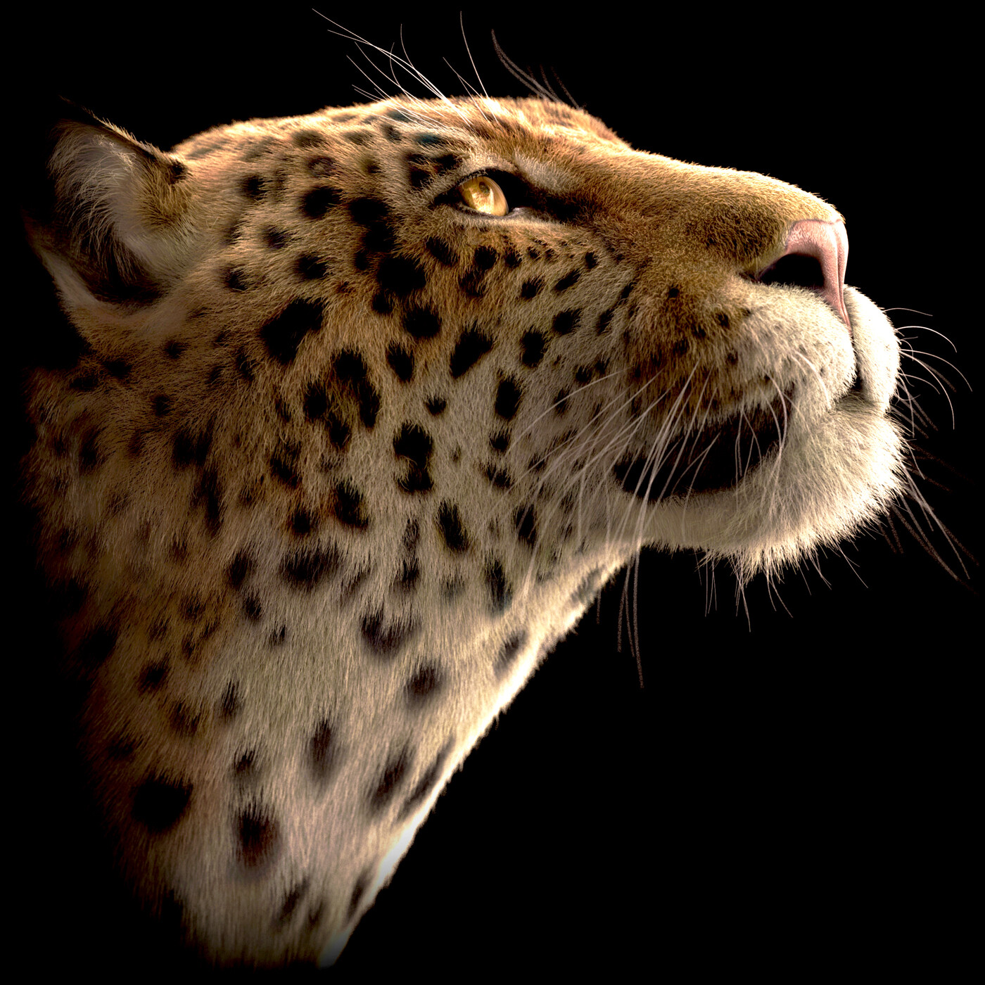Jaguar (xgen)