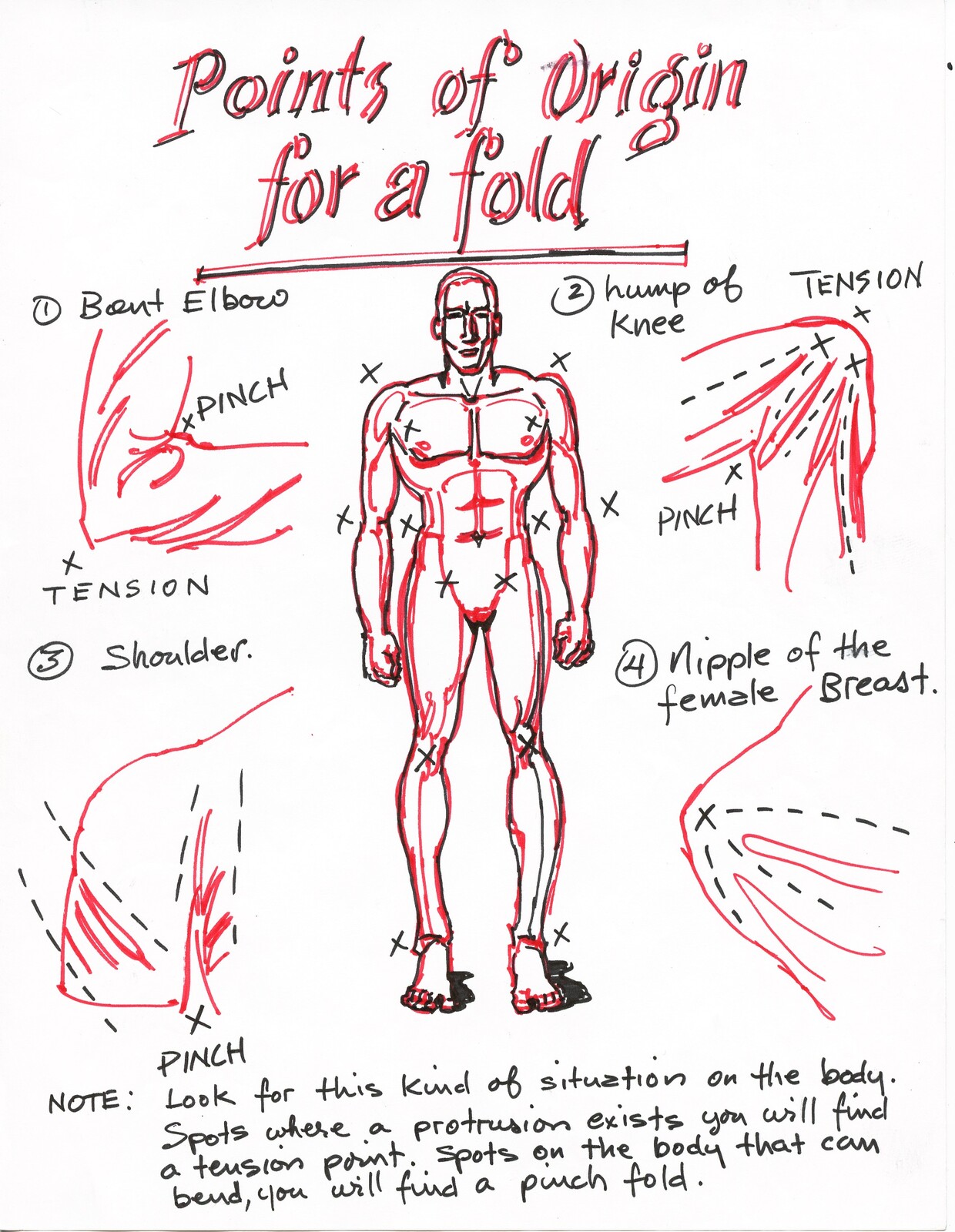 Where folds originate.