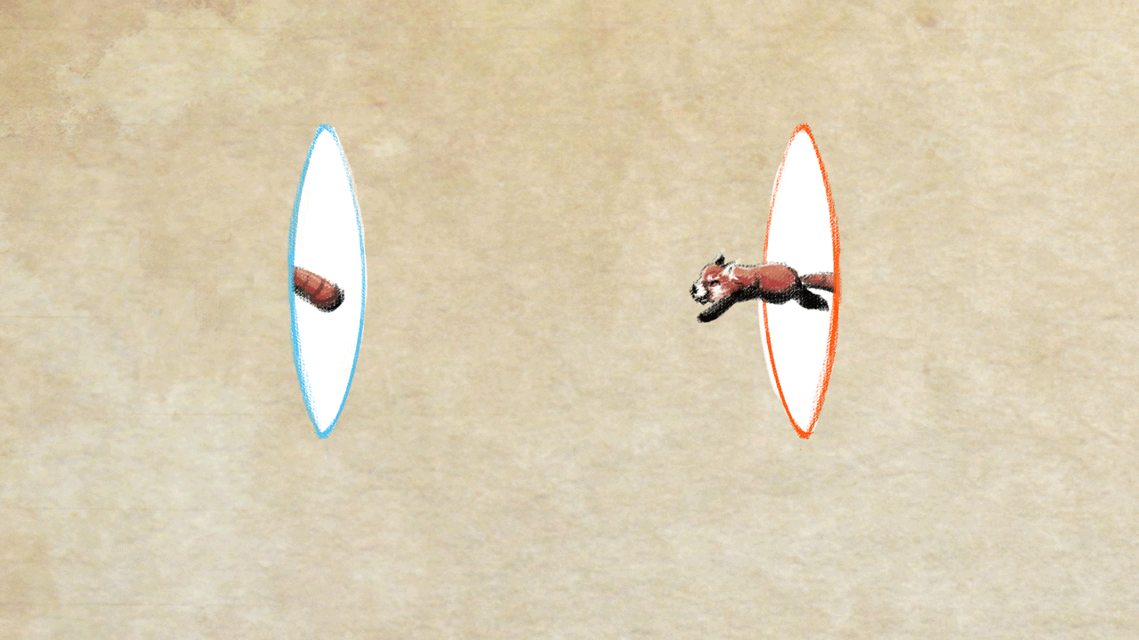 Artstation Red Panda Portal Loop Artstation Red Panda Portal Loop