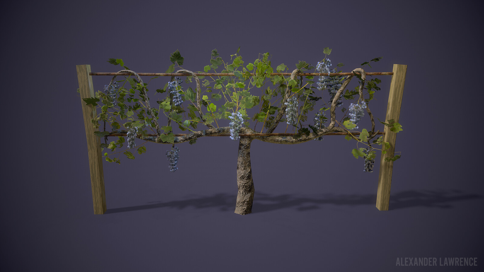 This grapevine was in the original version of this map. I had placed a vineyard near the ramp, but it was taken out in the final version for optimization reasons.