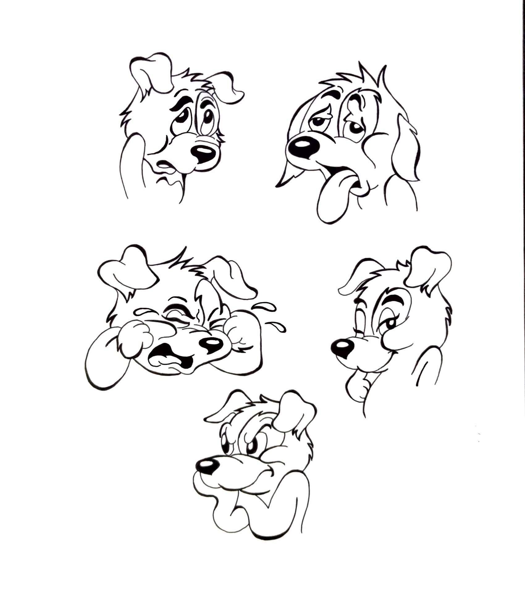 confused expression dog