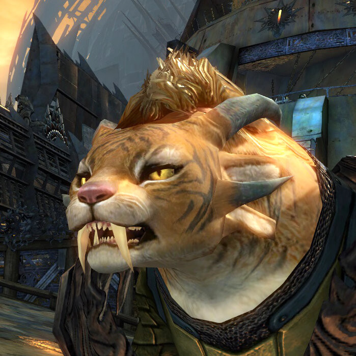 Character reference from Guild Wars 2
