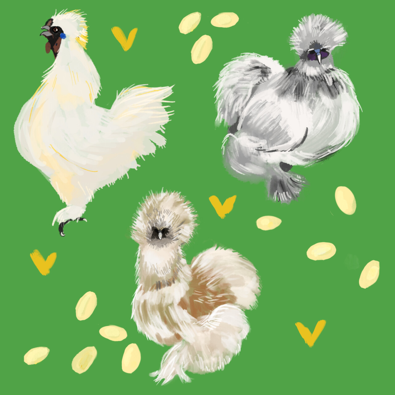 A Brood of Silkies