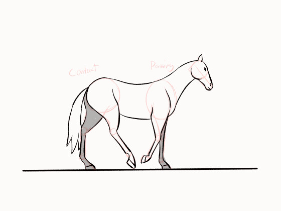 horse walking animation