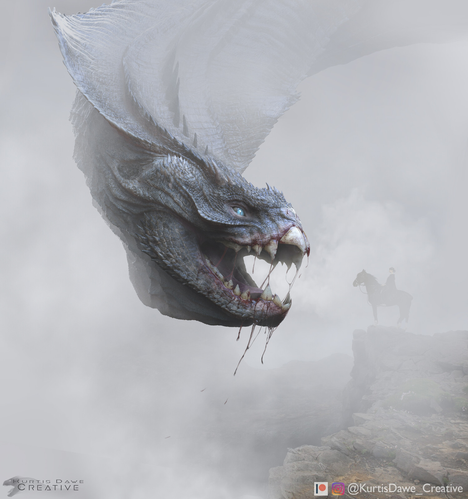 Viper Dragon Curiosity