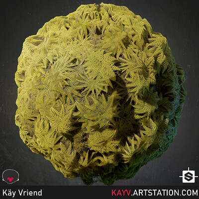 Kay vriend actual fractal fern beauty sphere