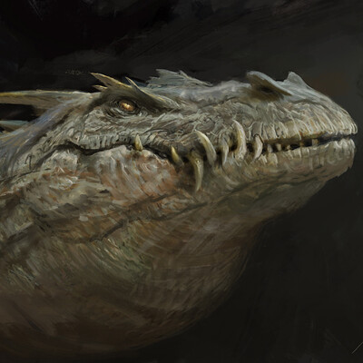 Antonio j manzanedo dragon study manzanedo