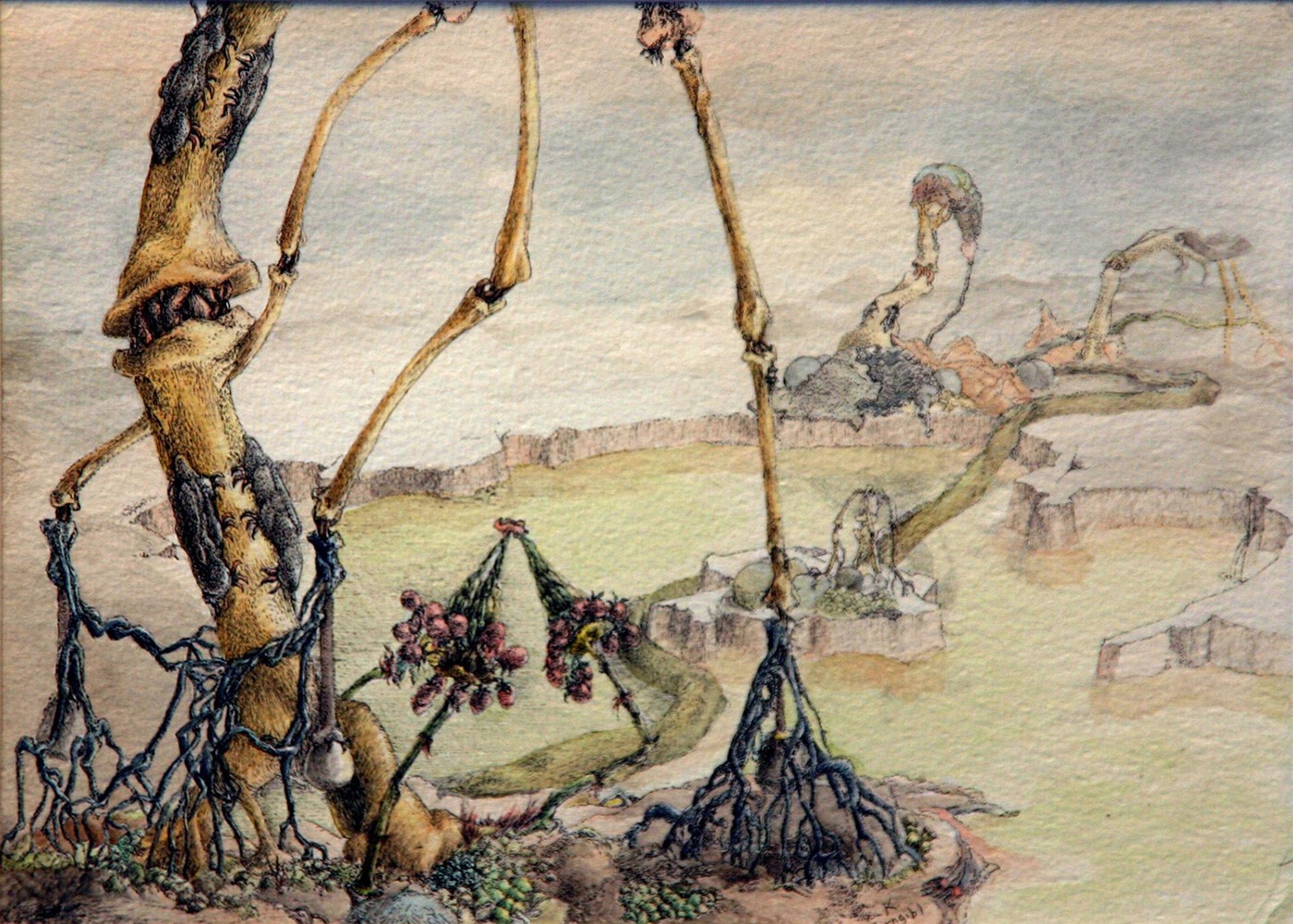 (Age 14) - "Symbiotic Relationship 2"
Watercolor and pen, 6.5" x 9"
The main stalks in the foreground are from a single organism (an entire one can be seen in the background). 
This organism is actually a scavenger, which eats out bone marrow.