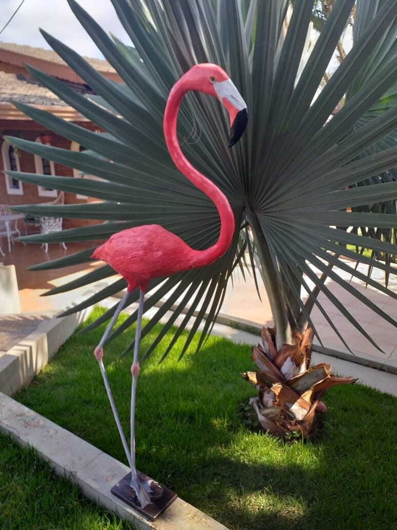 ArtStation - Flamingo Flamília