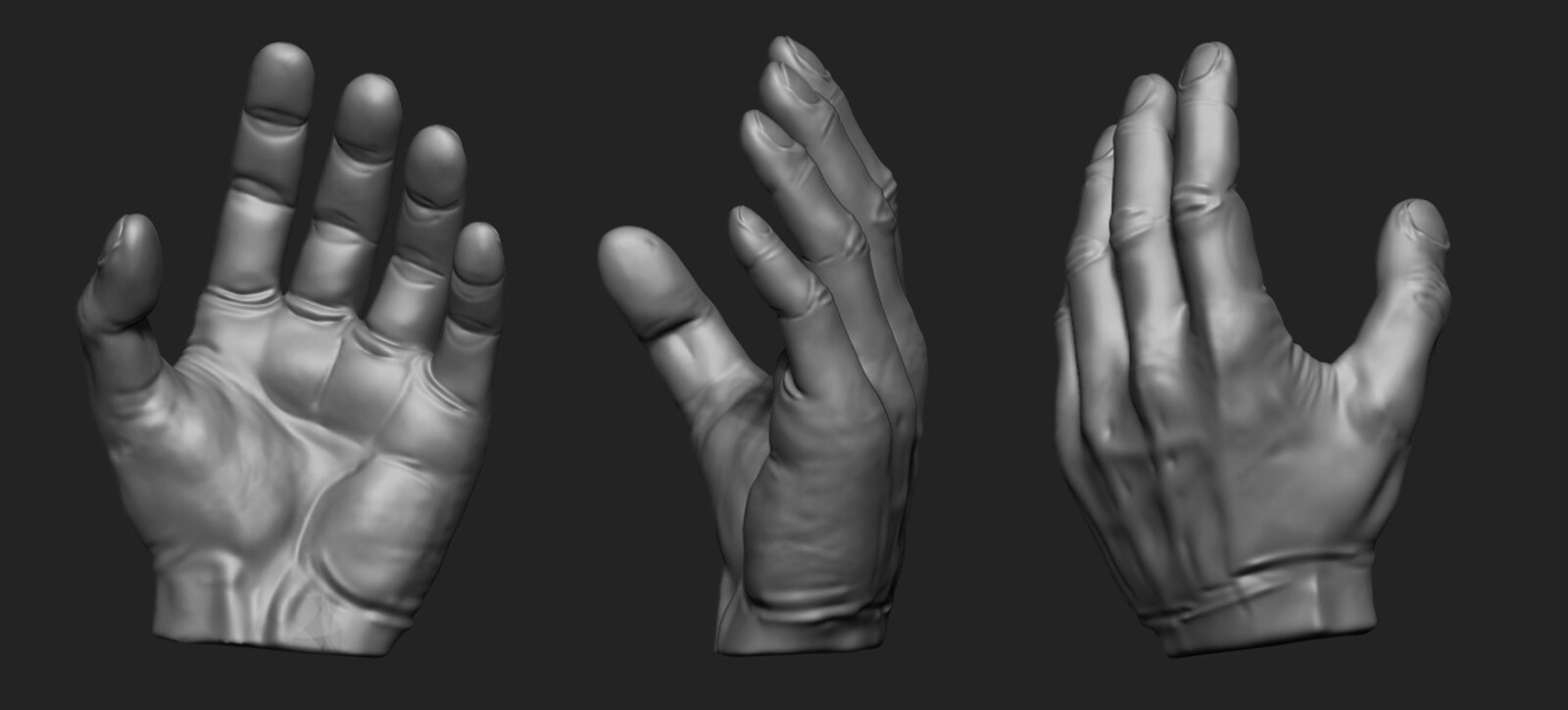 Hands Anatomy