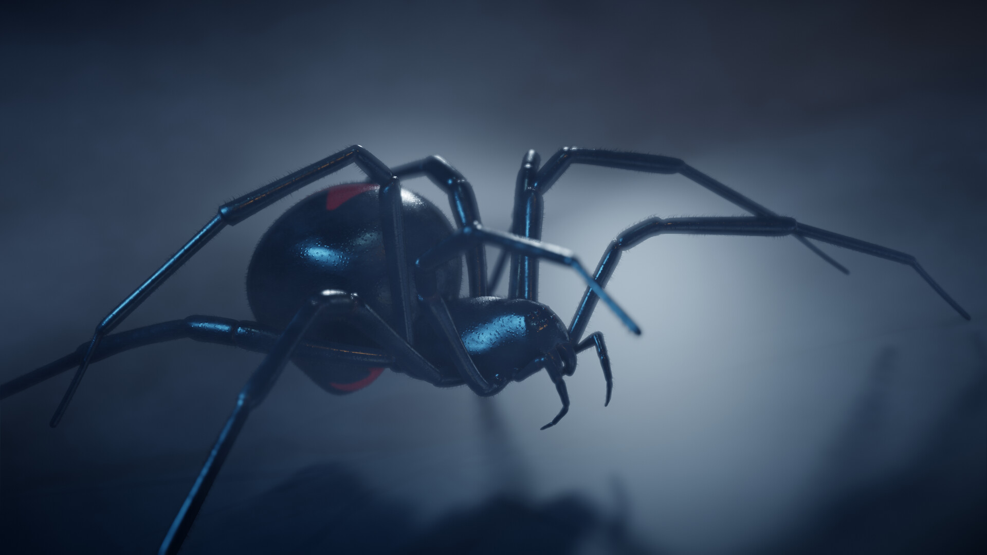 ArtStation - Black widow spider