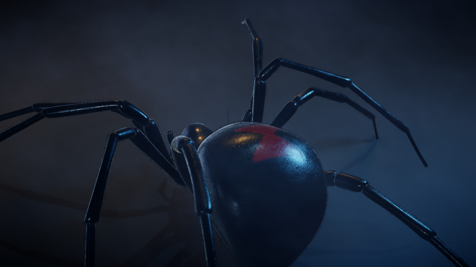 ArtStation - Black widow spider ArtStation - Black widow spider