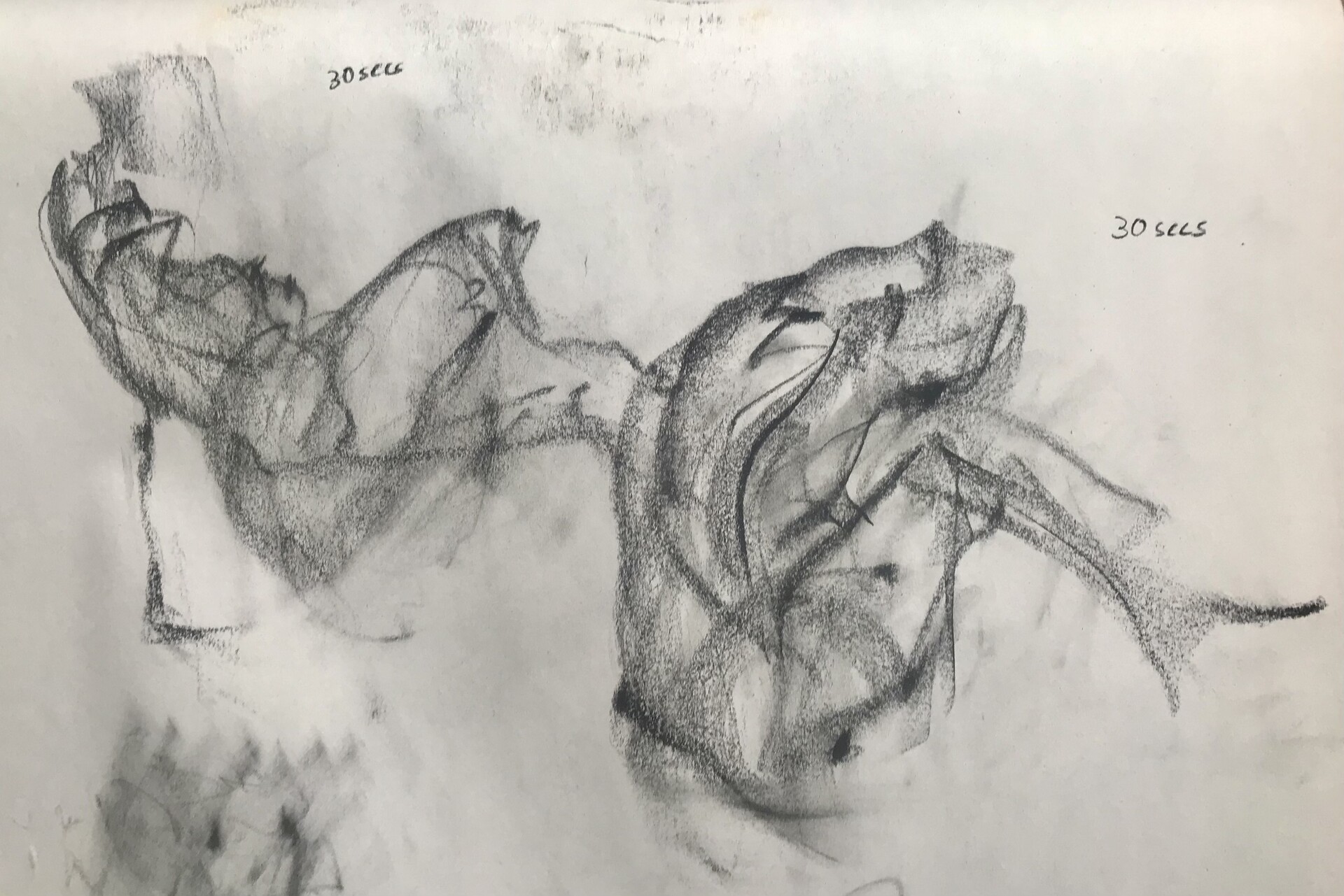 30 Second Bird Sketches  AJAiken
