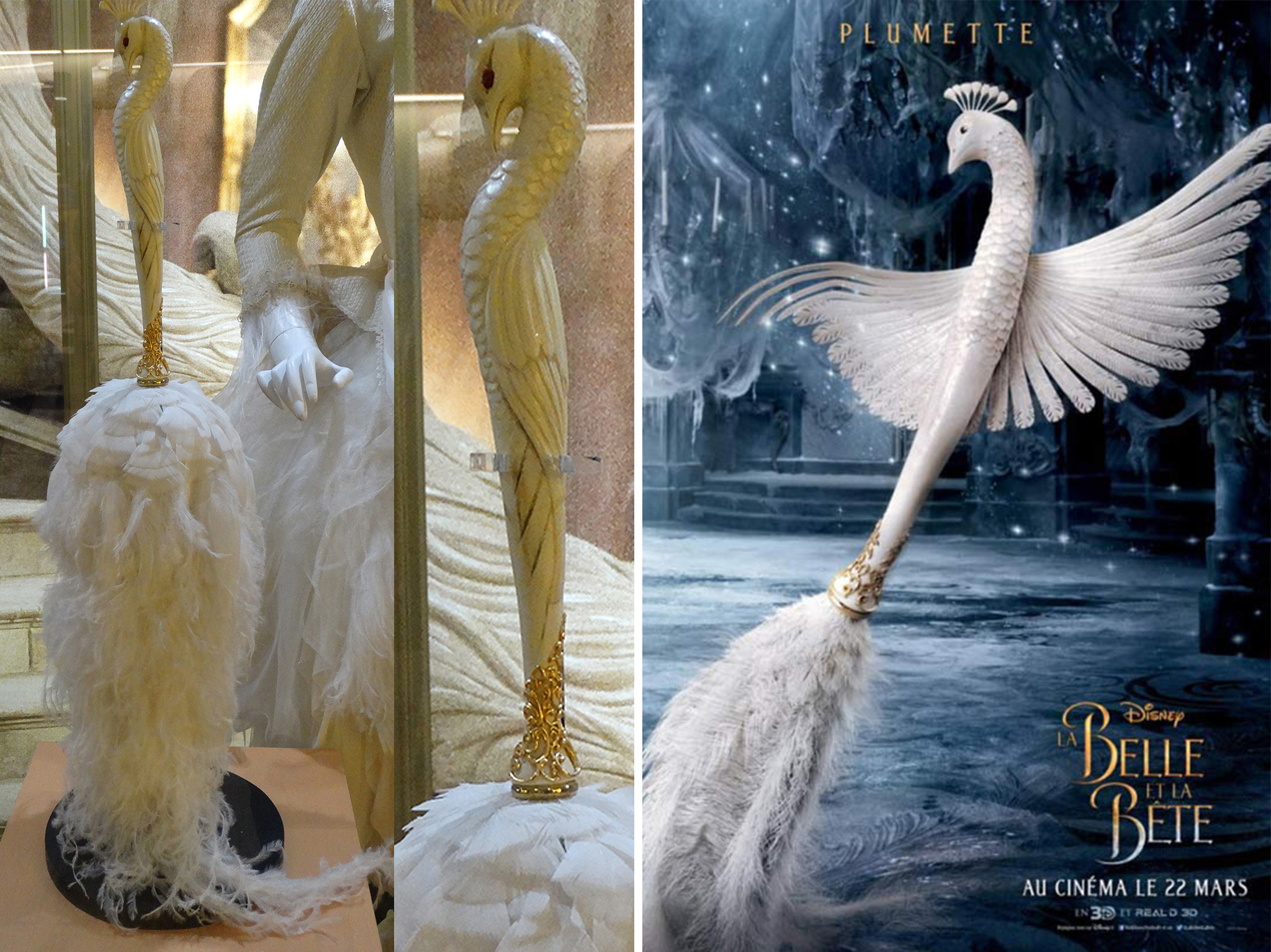 Brooke Dibble Beauty & the Beast