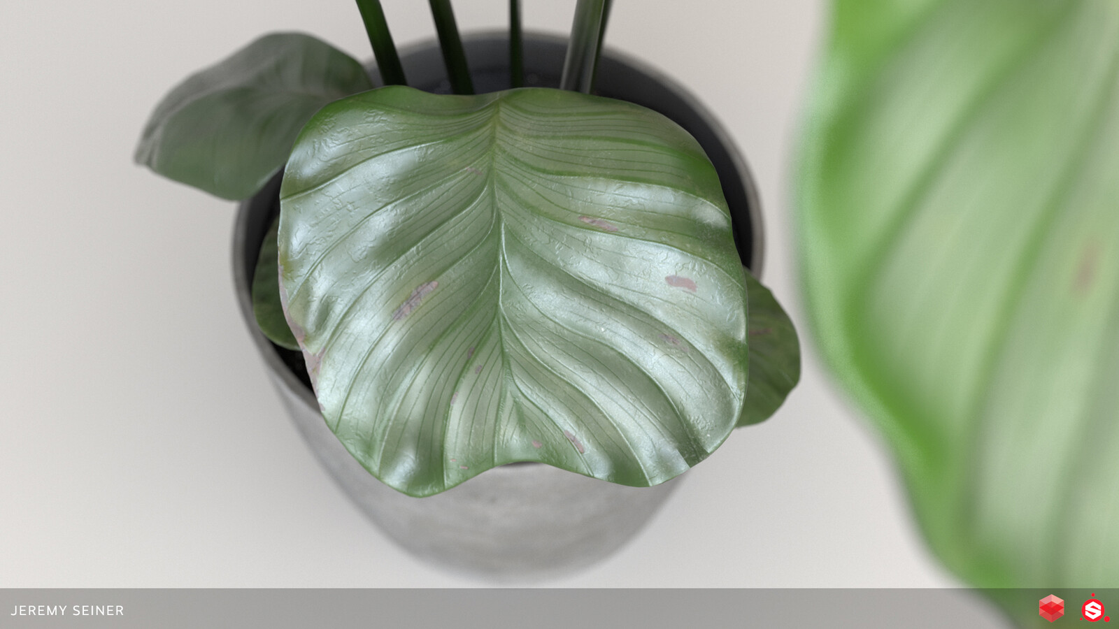 Closeup of a leaf rendered in Redshift with a different lighting setup.