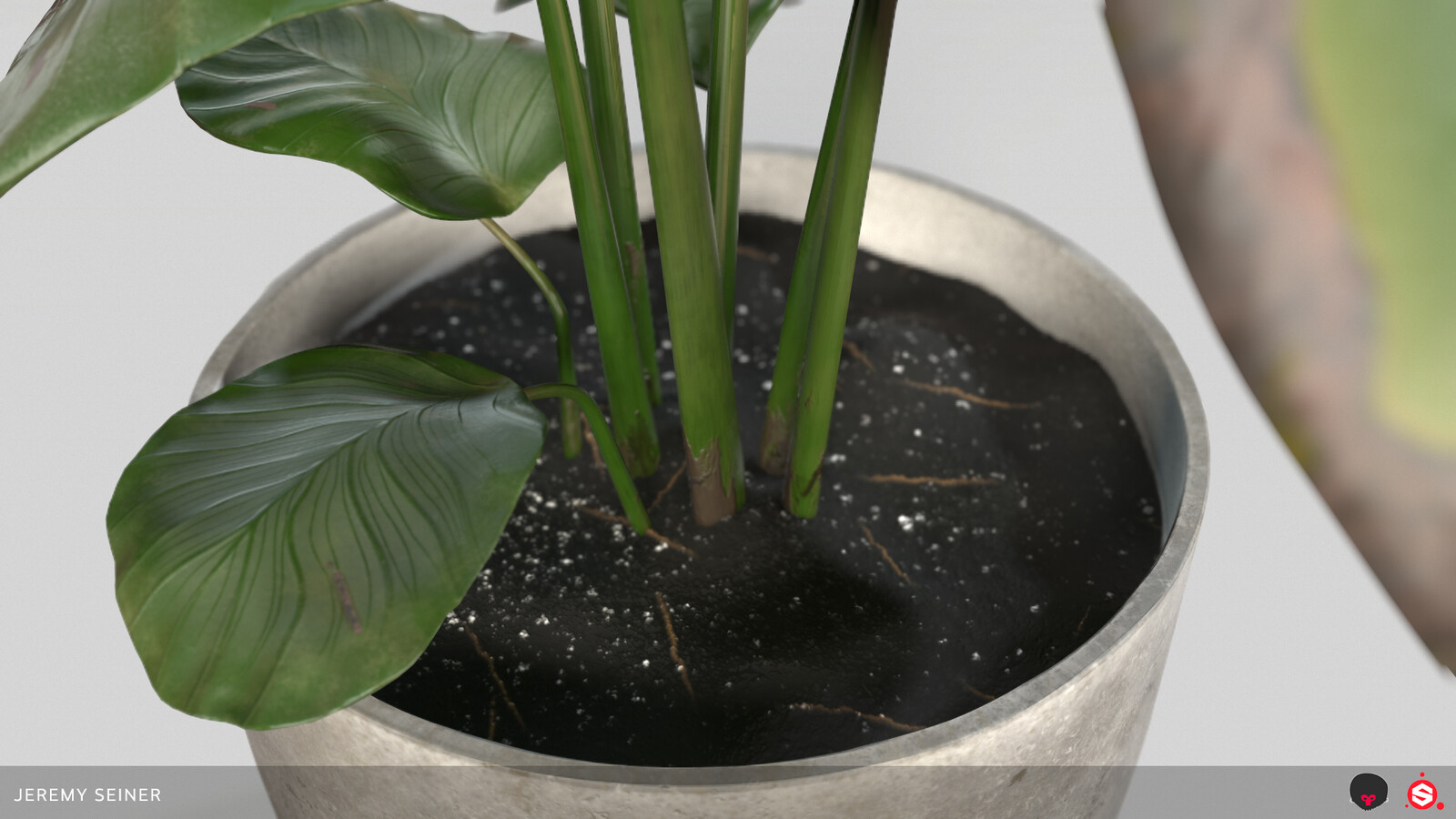 Closeup of base with soil and stems. Soil material created in Substance Designer.