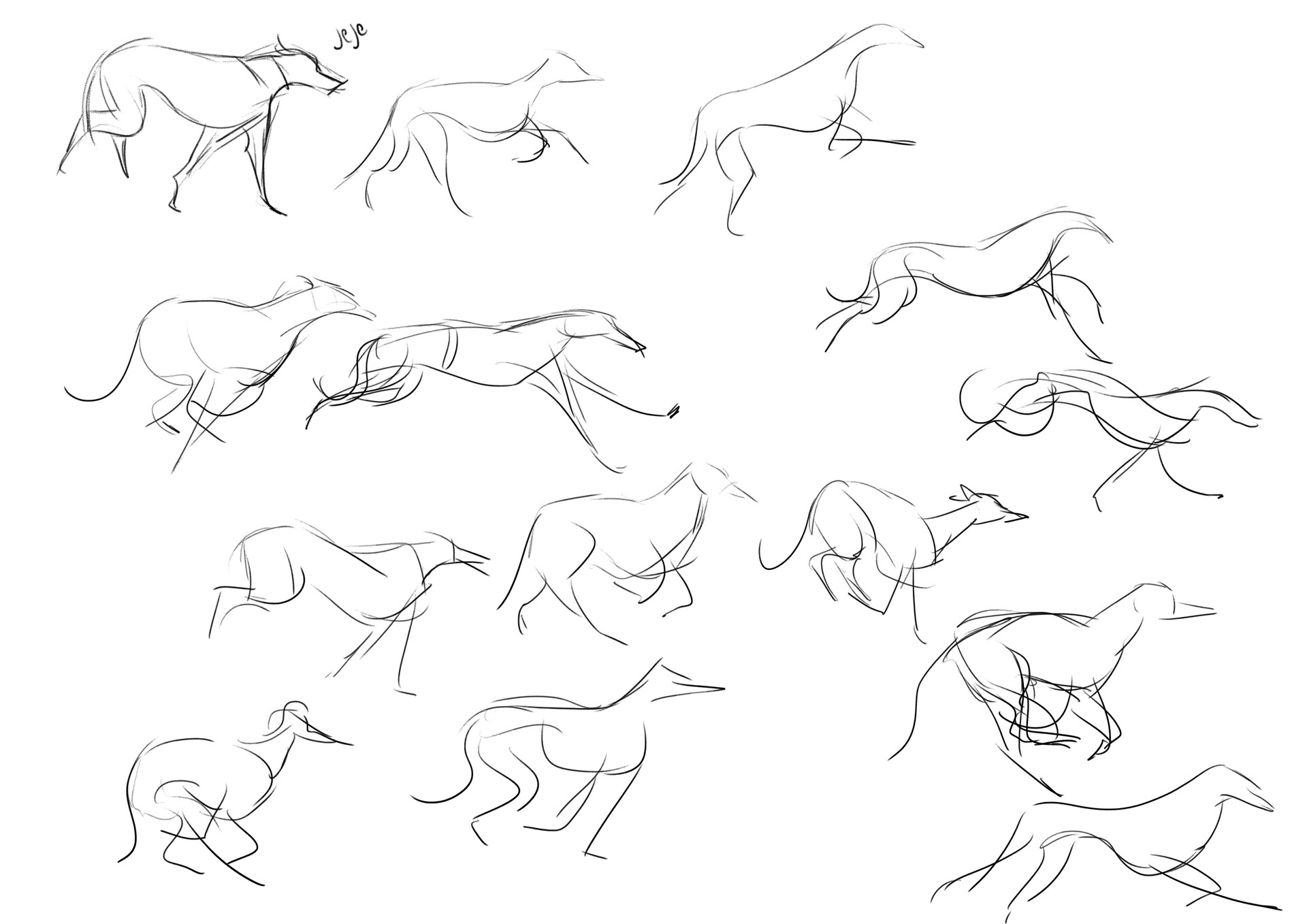 ArtStation - Dog Running - Gesture Drawing