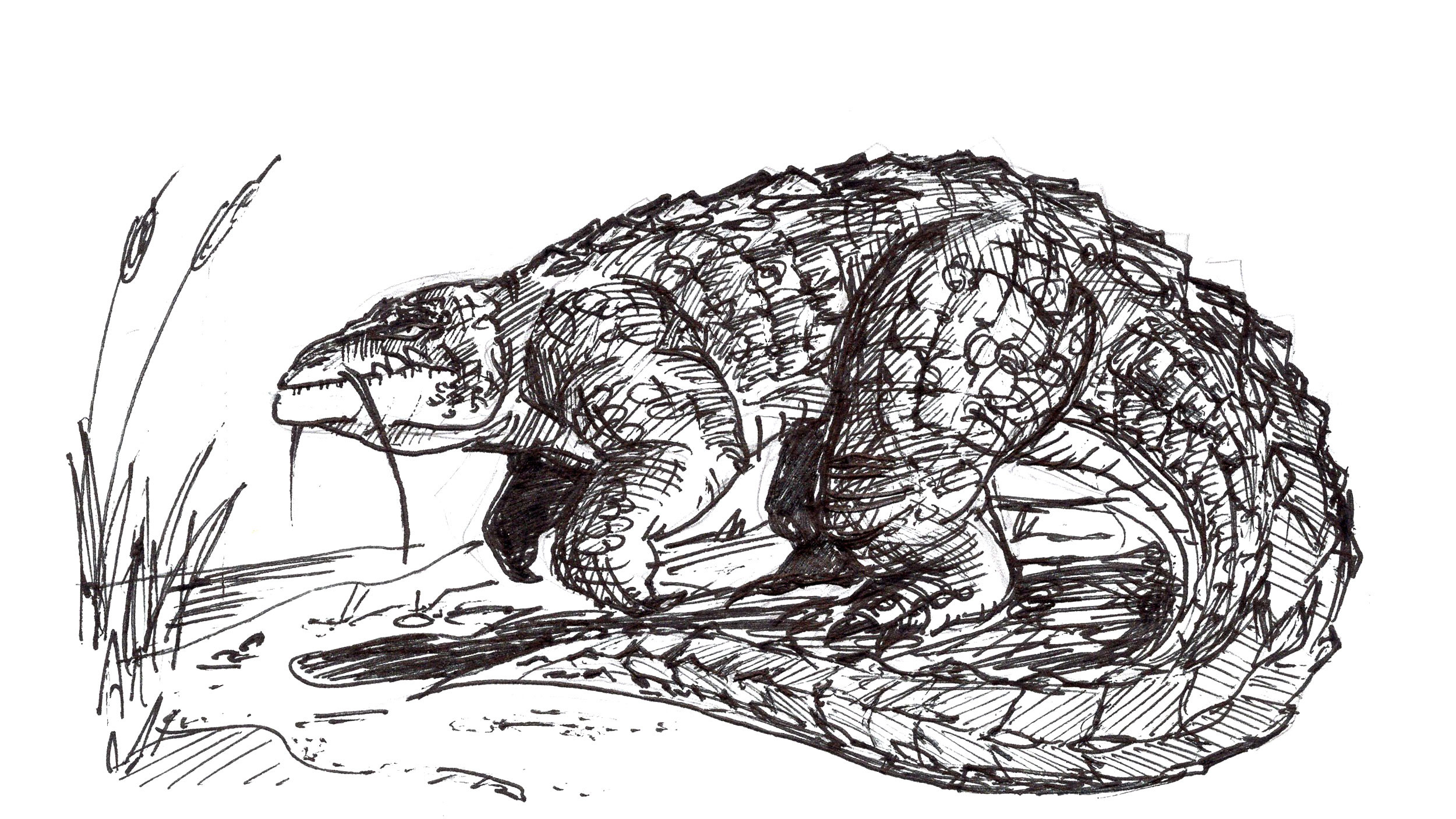 original sketch