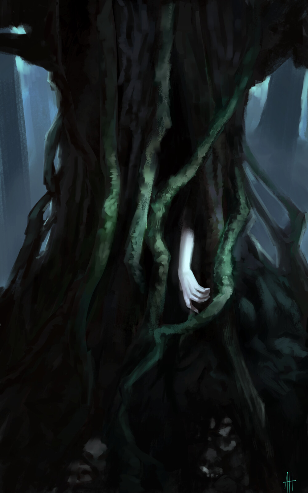 Wych Elm