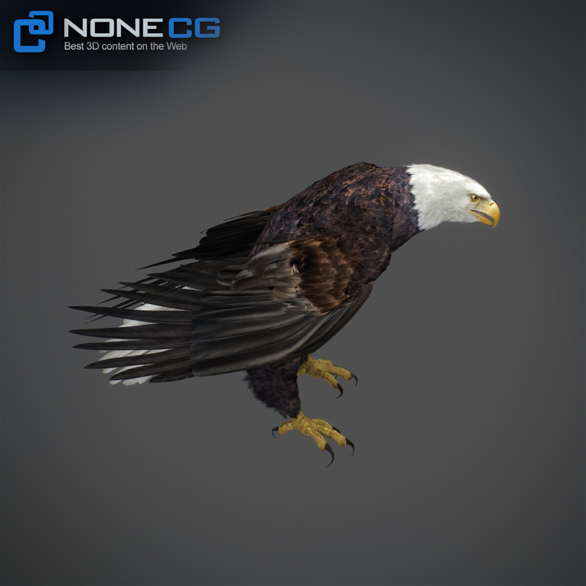 ArtStation - 3D Bald Eagle Animated