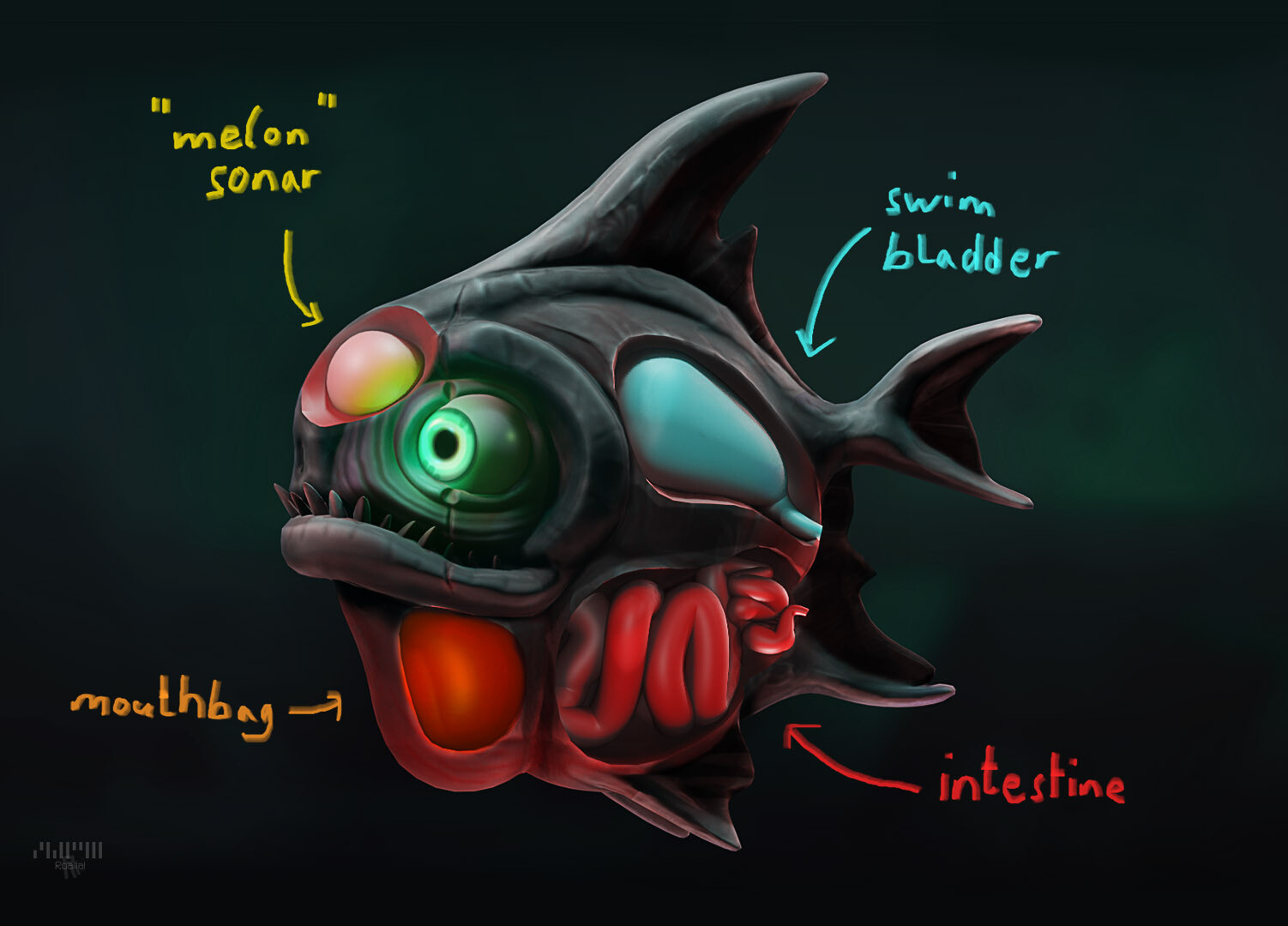 imaginary anatomy of the piranha