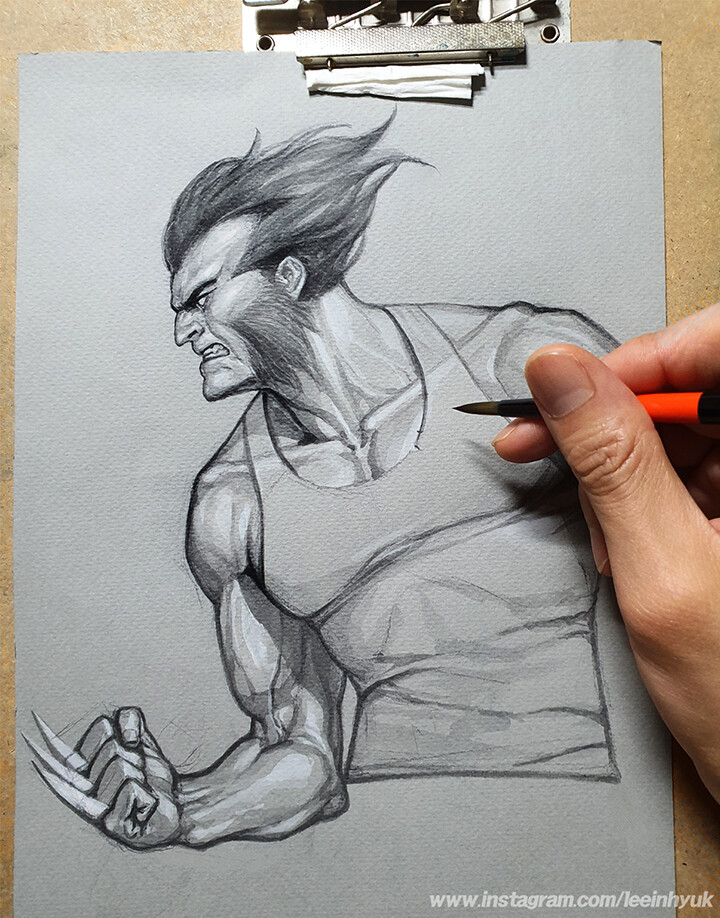 Wolverine/ Half body/ Pencil and Ink and White/ A4 size on Grey paper