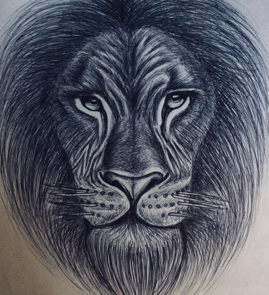 sebastian cervera lion made with pen