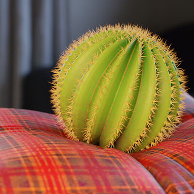 Alex fulcrum christmas cactus